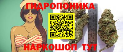 прущие крисы Партизанск