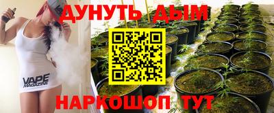 прущие крисы Партизанск
