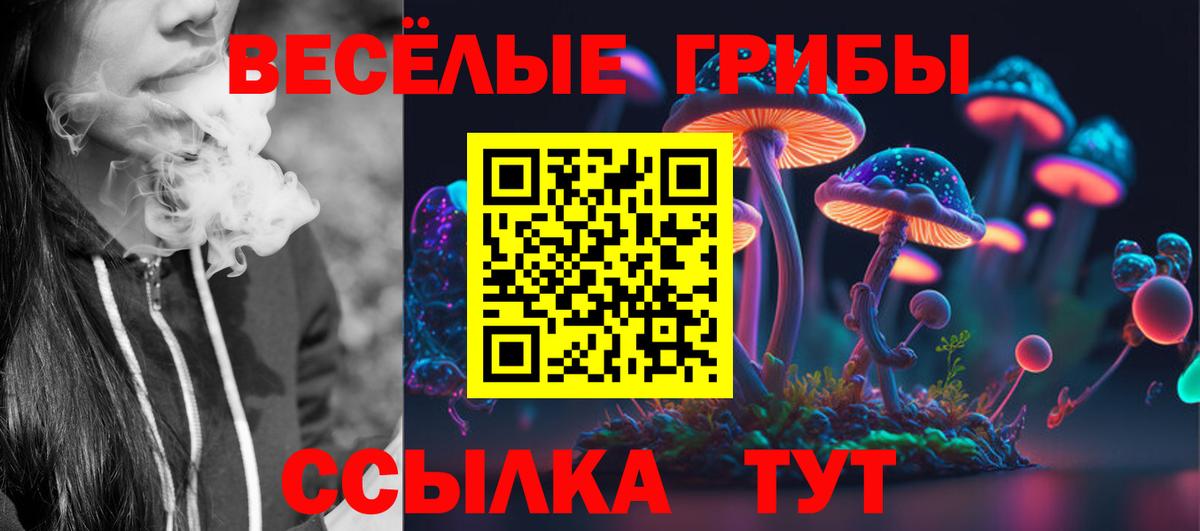 Аша  как найти закладки  Галлюциногенные грибы мухоморы  Вход с VPN  Галлюциногенные грибы GOLDEN TEACHER 